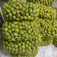 گردو ایرانی یک دست درجه یک|عمدهفروشی|زاینده رود, |دیوار