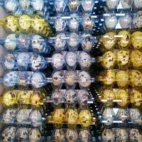 تخم بلدرچین 12 عددی|خوردنی و آشامیدنی|قم, سراجه (۱۵ خرداد)|دیوار