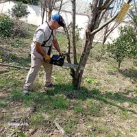 خدمات باغی صفرتاصد باتحصیلات عالی دراین زمینه