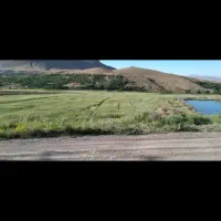 فروش ۲۵۰۰ متری