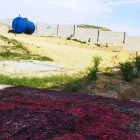 فروش دو قطعه زمین 527و727متری در بام سوق