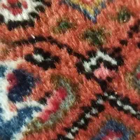 فرش دست بافت جفت ۶ ریز ماهی|فرش|شاهینشهر, خبرنگار|دیوار