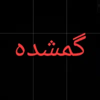 بچه گربه گمشده