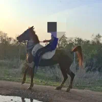 خوزستان شوش