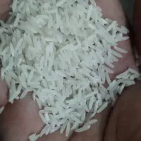 برنج فجرسوزنی