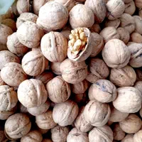 استخدام بازاریاب حرفه‌ای با برندهای معتبر|استخدام بازاریابی و فروش|رشت, جانبازان|دیوار