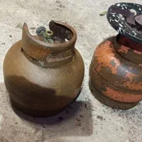 دو عدد پیک نیک 1200