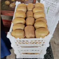 فروش سبد کیوی