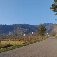 14000متر زمین مسکونی باغی بابر200متر لیسار تالش|فروش زمین و ملک کلنگی|لیسار, |دیوار