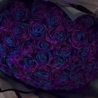 گل رز ربانی|گل مصنوعی|شیراز, میانرود|دیوار