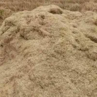 کاه برای فروش