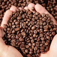 حسابدار پاره وقت خانم مسلط به پارسیان یا الماس