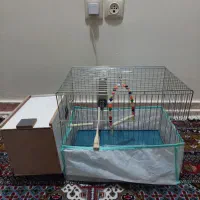 قفس پرنده