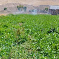 لوله بارانی با اتصالات  کامل