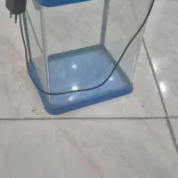 آکواریوم