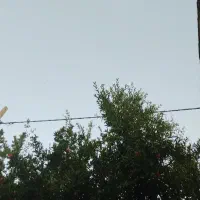 سهره