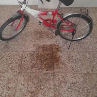دوچرخه|دوچرخه، اسکیت، اسکوتر|اصفهان, بابوکان|دیوار