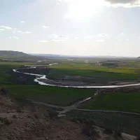 زمین اجاره یا شرکت در کاشت