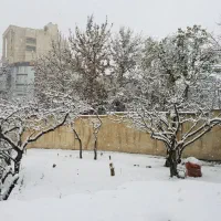 فروش زمین زراعی باغی