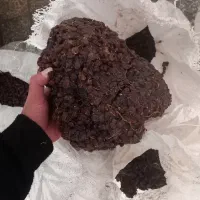 کشمش درگز کشمش آفتابی کشمش گله کشمش پلویی تیزابی