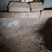 تخم مرغ نطفه دار گلین 30