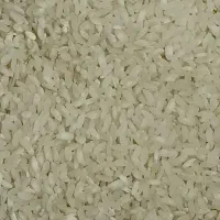 برنج کامفیروزی درجه یک،  بشرط پخت