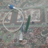 ماهی