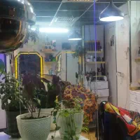 آرایشگر آقا