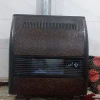 بخاری آدنیس سالم