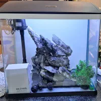 آکواریوم دلسا k500 شه خم درب دار