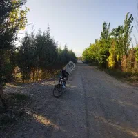 زمین باغی پلایین