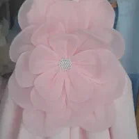 لباس های پرنسسی کوچولوها|لباس|ارومیه, |دیوار