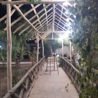 چوب داربست مو تالار انگور باغ ویلا خانه باغ