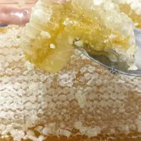 عسل کوهی آویشن طبیعی