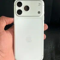 17 pro max