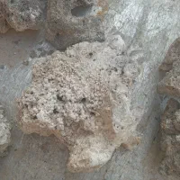 لوازم اکواریوم سنگ و شن