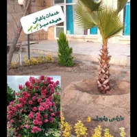 خدمات باغبانی تیلرزنی هرس کاری گل کاری و سمپاشی|خدمات باغبانی و درختکاری|مشهد, وکیل‌آباد|دیوار