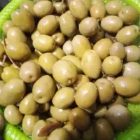 زیتون کنسروی زیتون شکسته روغنی گیلوان کنسروی