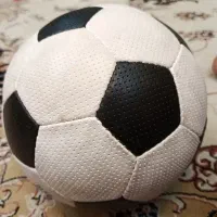 سالم و پرباد