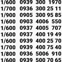 *  نمایندگی خطوط رند  *  اختصاصی تبلیغات و بیلبورد