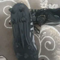 1000000|کیف، کفش، کمربند|رومشکان, |دیوار