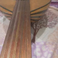 عود ترکی درحد نو|سازهای سنتی|بندرعباس, |دیوار