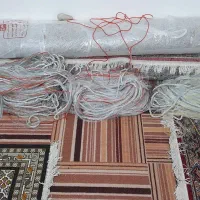 دام ماهیگیری