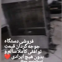 جوجه گردان