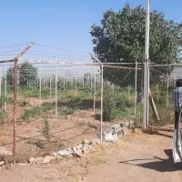 زمین کشاورزی