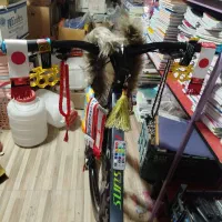 دوچرخه کامل سالم