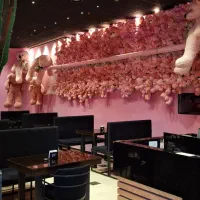 ویتر و سالن کار