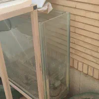 آکواریوم|ماهی|شاهین‌شهر, شهرک ردانی پور|دیوار