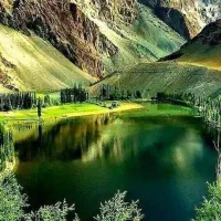 استخدام کارشناس مناقصات