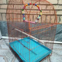 قفس پرنده|لوازم جانبی حیوانات|طبس, |دیوار